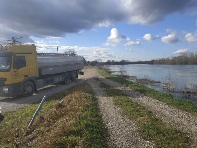 Psi nam pomažu, a država odmaže