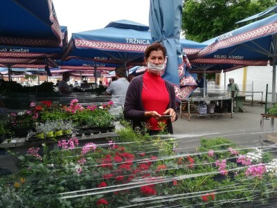 Osječka tržnica Osječka tržnica