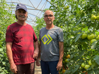 Proizvodnja rajčice u kokosovim jastucima na PO Agropin