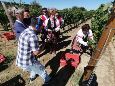 Prvi put obilježen početak berbe grožđa u Zadarskoj županiji