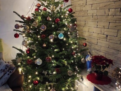 Božić u glinskom kraju Božić u glinskom kraju