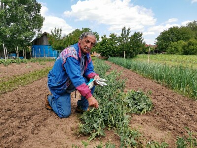Iznajmljivanje bašti po uzoru na Švajcarsku
