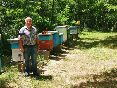 Bagremova paša je bila slaba, u proseku 8kg po košnici Bagremova paša je bila slaba, u proseku 8kg po košnici