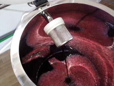 Gazdinstvo Kovačević