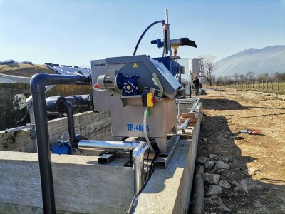 Farma krava Butmir - HF pasmina