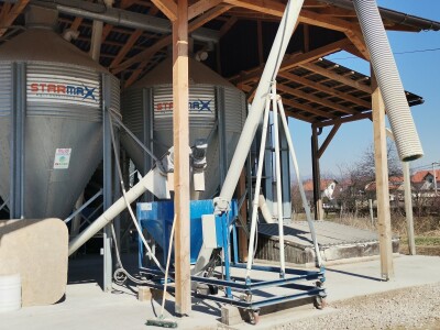 Farma krava Butmir - HF pasmina