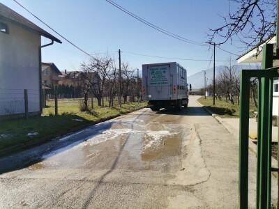 Farma krava Butmir - HF pasmina