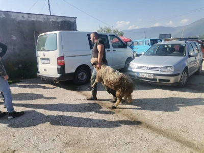 Stočna pijaca u Sarajevu