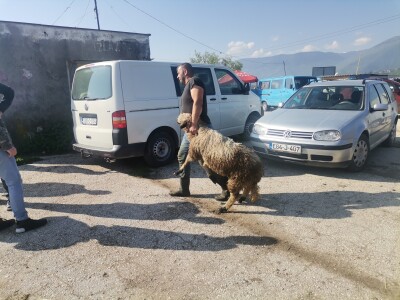 Stočna pijaca u Sarajevu