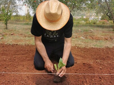 Prvi Muzej duhana u Bosni Hercegovini