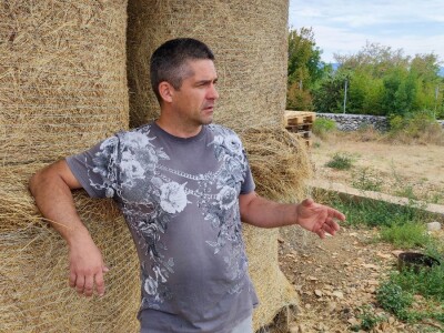 Farma ovaca u selu Nunić