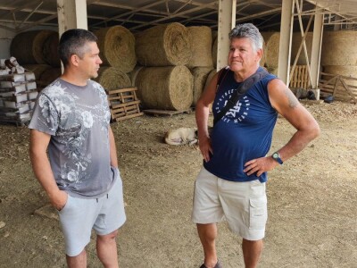 Farma ovaca u selu Nunić