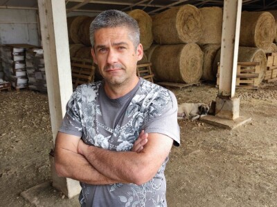 Farma ovaca u selu Nunić