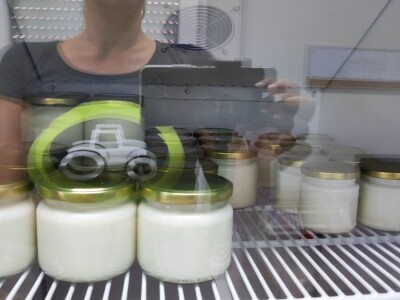 Farma ovaca u selu Nunić