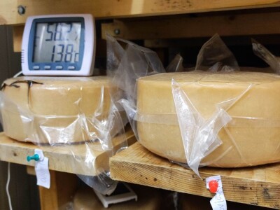 Farma ovaca u selu Nunić