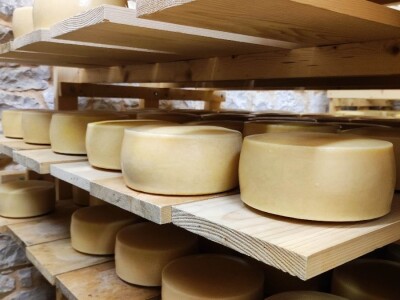 Farma ovaca u selu Nunić