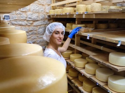 Farma ovaca u selu Nunić