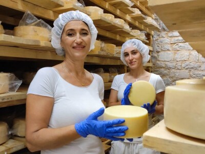 Farma ovaca u selu Nunić