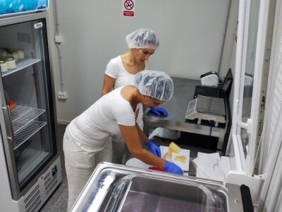 Farma ovaca u selu Nunić