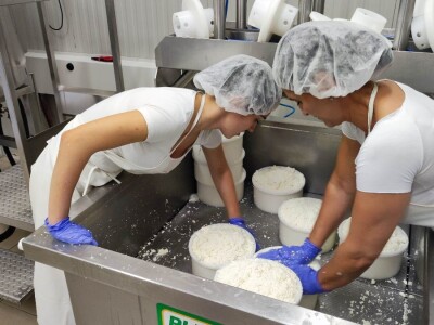 Farma ovaca u selu Nunić