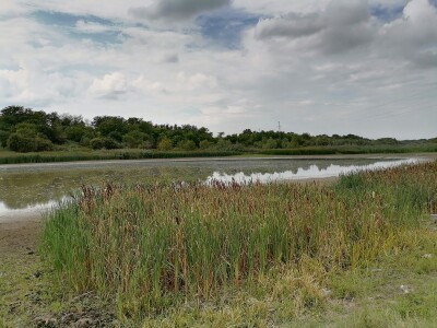 Akumulaciono jezero Ljukovo, Jarkovci