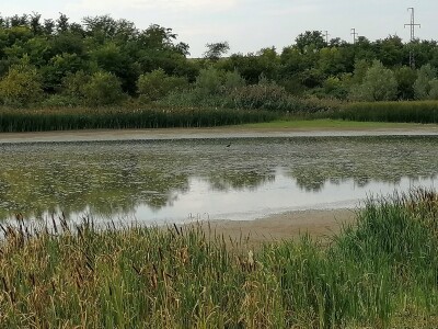 Akumulaciono jezero Ljukovo, Jarkovci