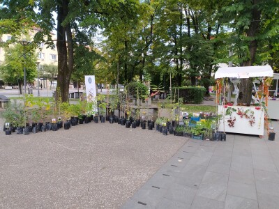 Naše trave interesantne i za istraživače sa Novog zelanda