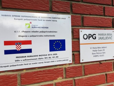 Vinograd u Starom Petrovom Selu