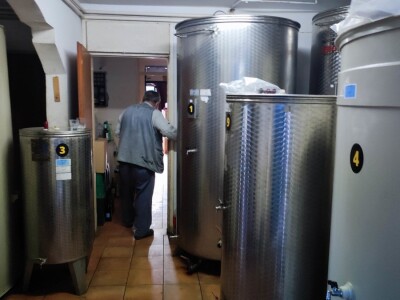 Vinograd u Starom Petrovom Selu