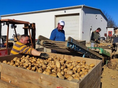 Otkupni centar Varaždin - Enna Fruit d.o.o.