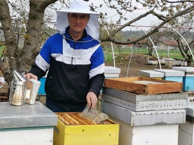 Med od uljane repice dobar za jetru i disajne organe