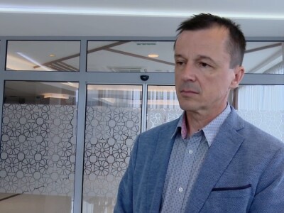 Livanjski divlji konji