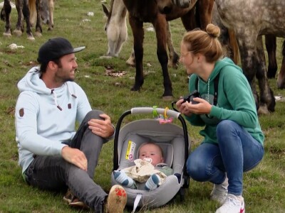 Livanjski divlji konji