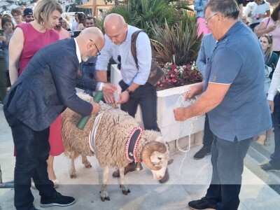 21. Izložba paške ovce i paškog sira uz 6. Sajam hrvatskih zaštićenih proizvoda