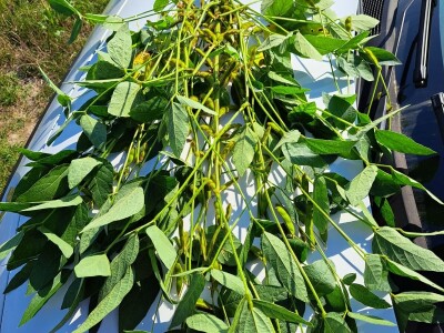 Tvrtka Mauthner na 30. Jesenskom međunarodno bjelovarskom sajmu