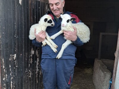 Ivan Miletić, poljoprivrednik i načelnik iz Sv. Roka