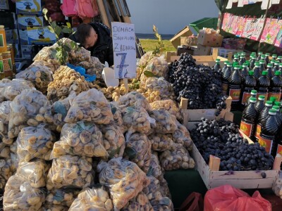 Otvoren 27. međunarodni sajam Viroexpo