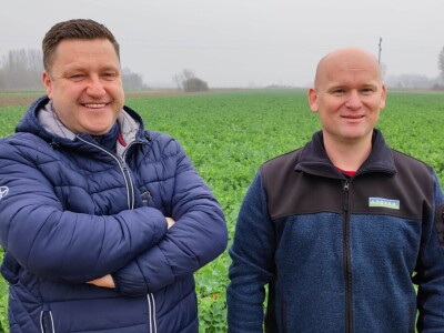 OPG ŠAREC IVICA OPG ŠAREC IVICA