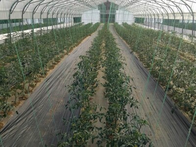 Poljoprivredna zadruga "Agroneven"