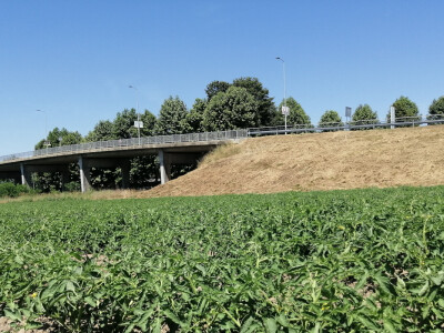 Zadruga Pontes Salutis navodnjava površine na kojima uzgaja rajčice za koprivničku Podravku