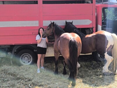 Treća Štraparijada u Derventi