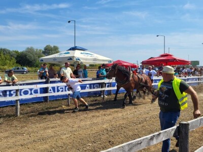Treća Štraparijada u Derventi
