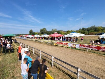 Treća Štraparijada u Derventi