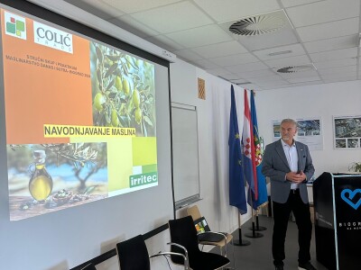 MASLINARSTVO DANAS I SUTRA - Od 8 milijuna navodnjavamo samo 5 posto maslina