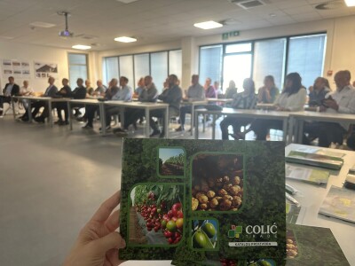 MASLINARSTVO DANAS I SUTRA - Od 8 milijuna navodnjavamo samo 5 posto maslina