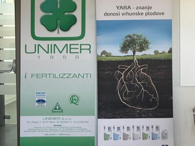 MASLINARSTVO DANAS I SUTRA - Od 8 milijuna navodnjavamo samo 5 posto maslina