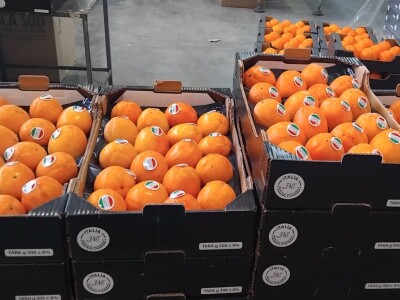 Otkup voća i povrća u Italiji