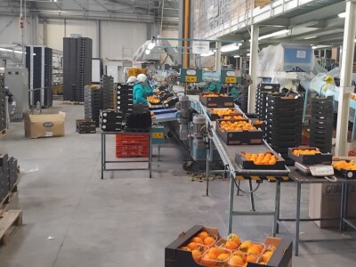 Otkup voća i povrća u Italiji