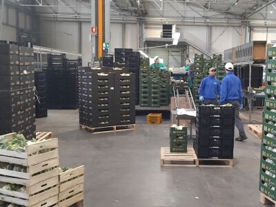 Otkup voća i povrća u Italiji