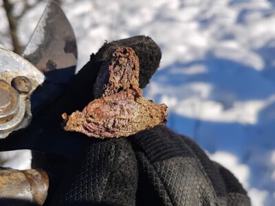 Mumije na plodovima voćaka Mumije na plodovima voćaka